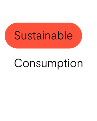 sustainable-consumption